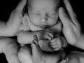 Neugeborenenfotoshooting - Babyfotograf Saarland - Babyfotografie - Babyfotografie Saarlouis - Newbornshooting - Isabell Wadel Fotografie - Geburt Saarland - Babyfotos - Newbornfotograf - Babyfotograf Schmelz - natürliche Fotografie - Fotostudio Schmelz Homestory