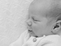 Neugeborenenfotoshooting - Babyfotograf Saarland - Babyfotografie - Babyfotografie Saarlouis - Newbornshooting - Isabell Wadel Fotografie - Geburt Saarland - Babyfotos - Newbornfotograf - Babyfotograf Schmelz - natürliche Fotografie - Fotostudio Schmelz Homestory